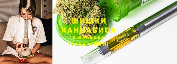 молекула духа Зеленокумск