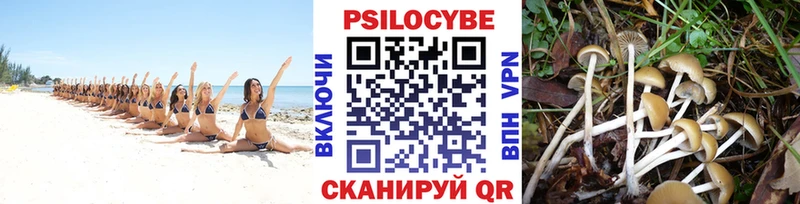 Галлюциногенные грибы прущие грибы  Кудымкар 