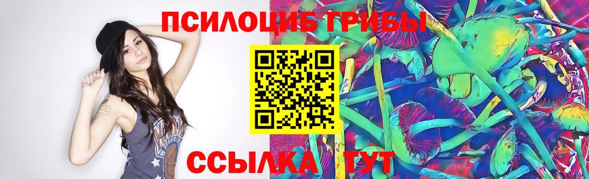 Псилоцибиновые грибы Magic Shrooms  Вход с VPN  Кудымкар 